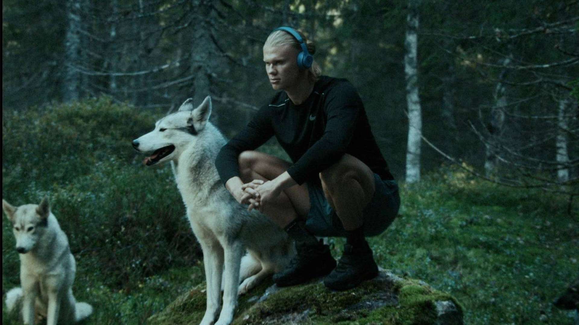 总结关键看 总结关键看