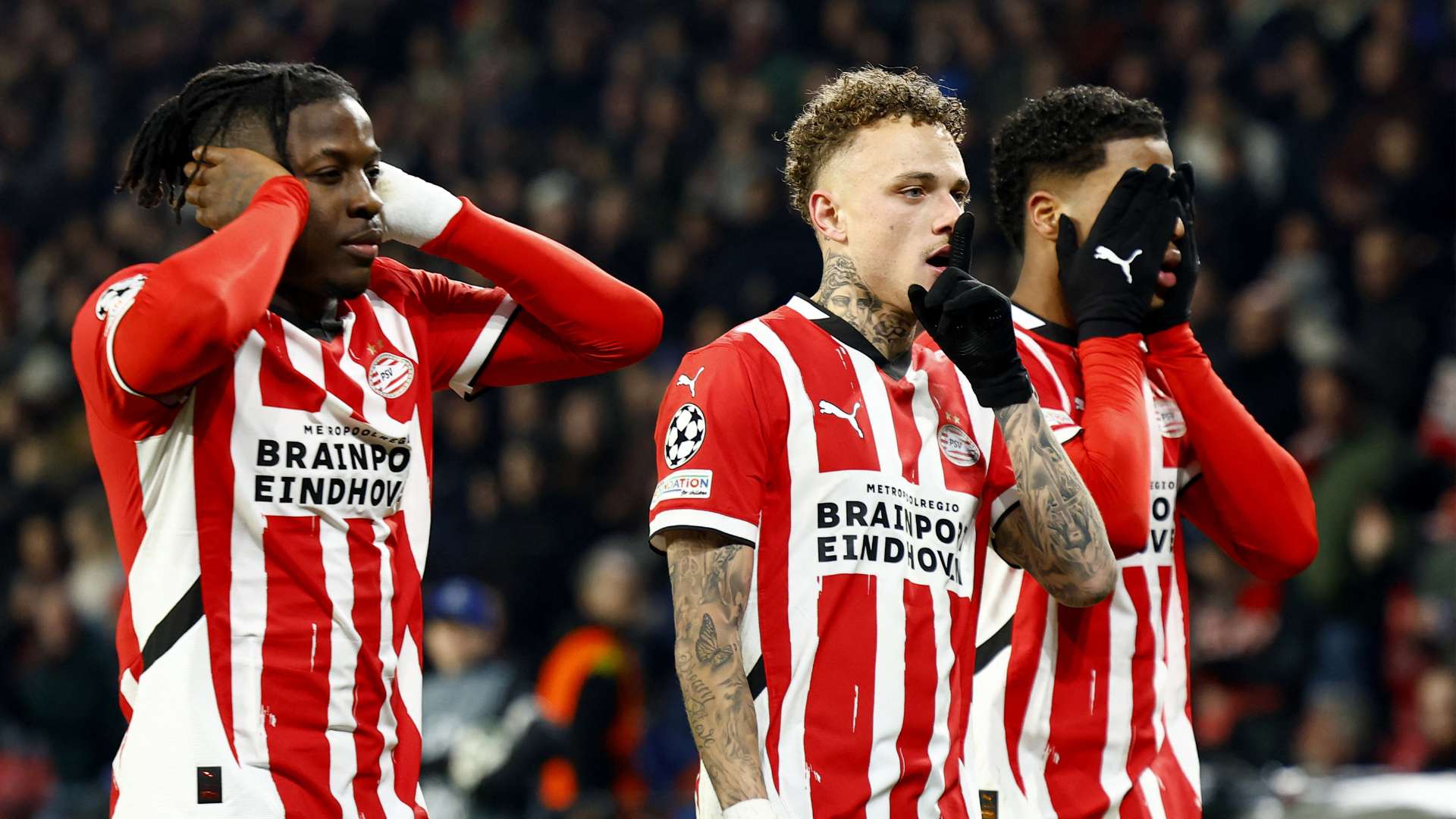 非洲双雄对 非洲双雄对